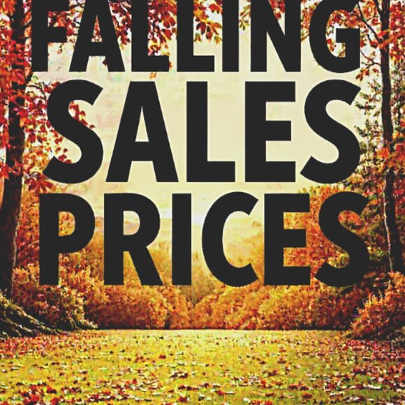 Kids Host Flyer Maybe-Not So Silent Show Lively Share, Sell, Shop, Support, 🎮🎁 - Picture 16 of 17